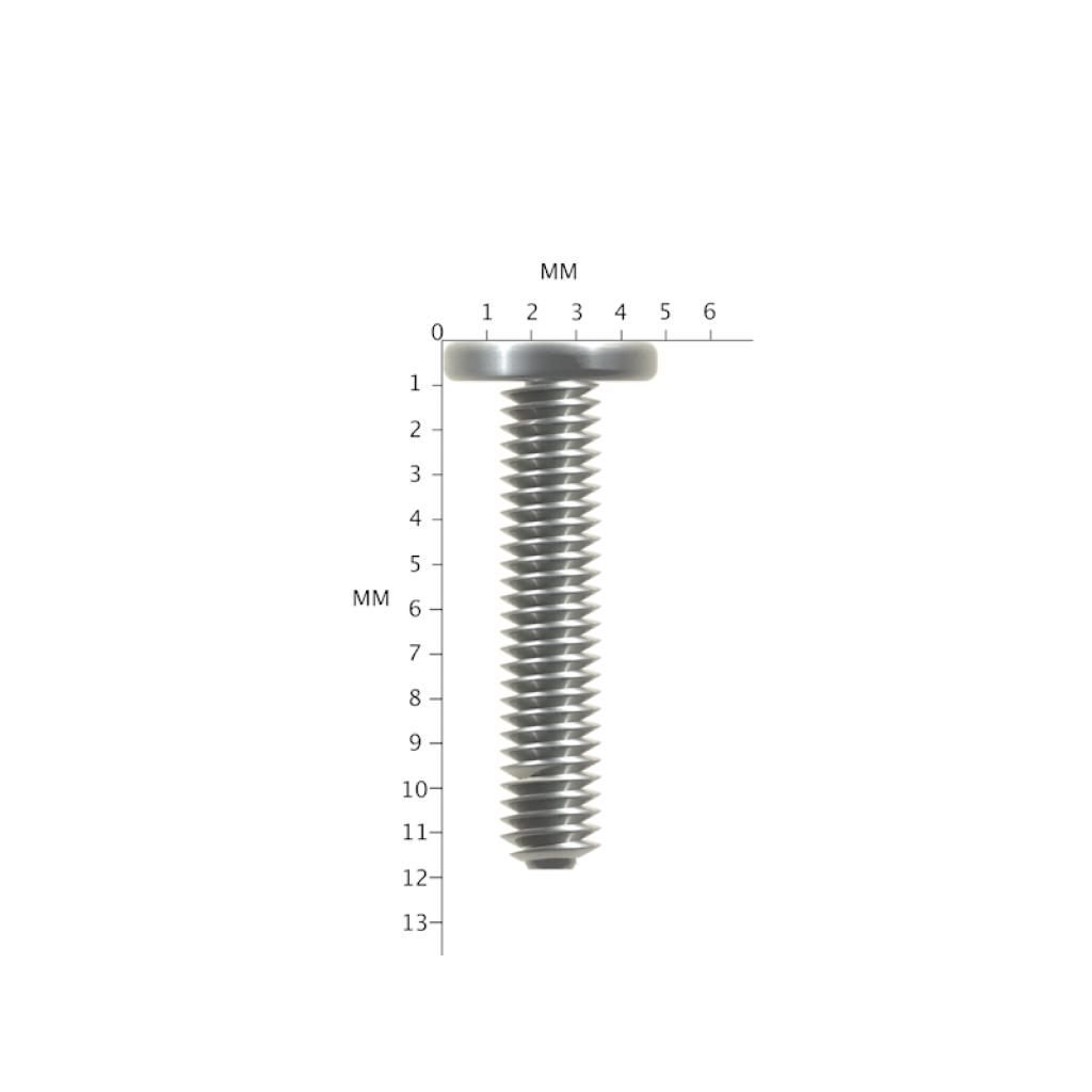 12 x M2 x 11mm Laptop Screws